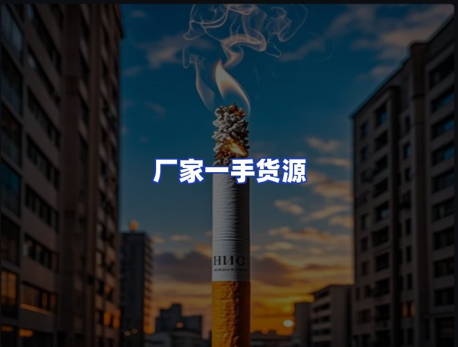 专业团队